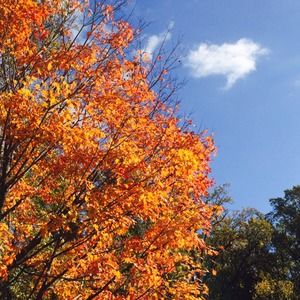 Meet your Posher, Mariel